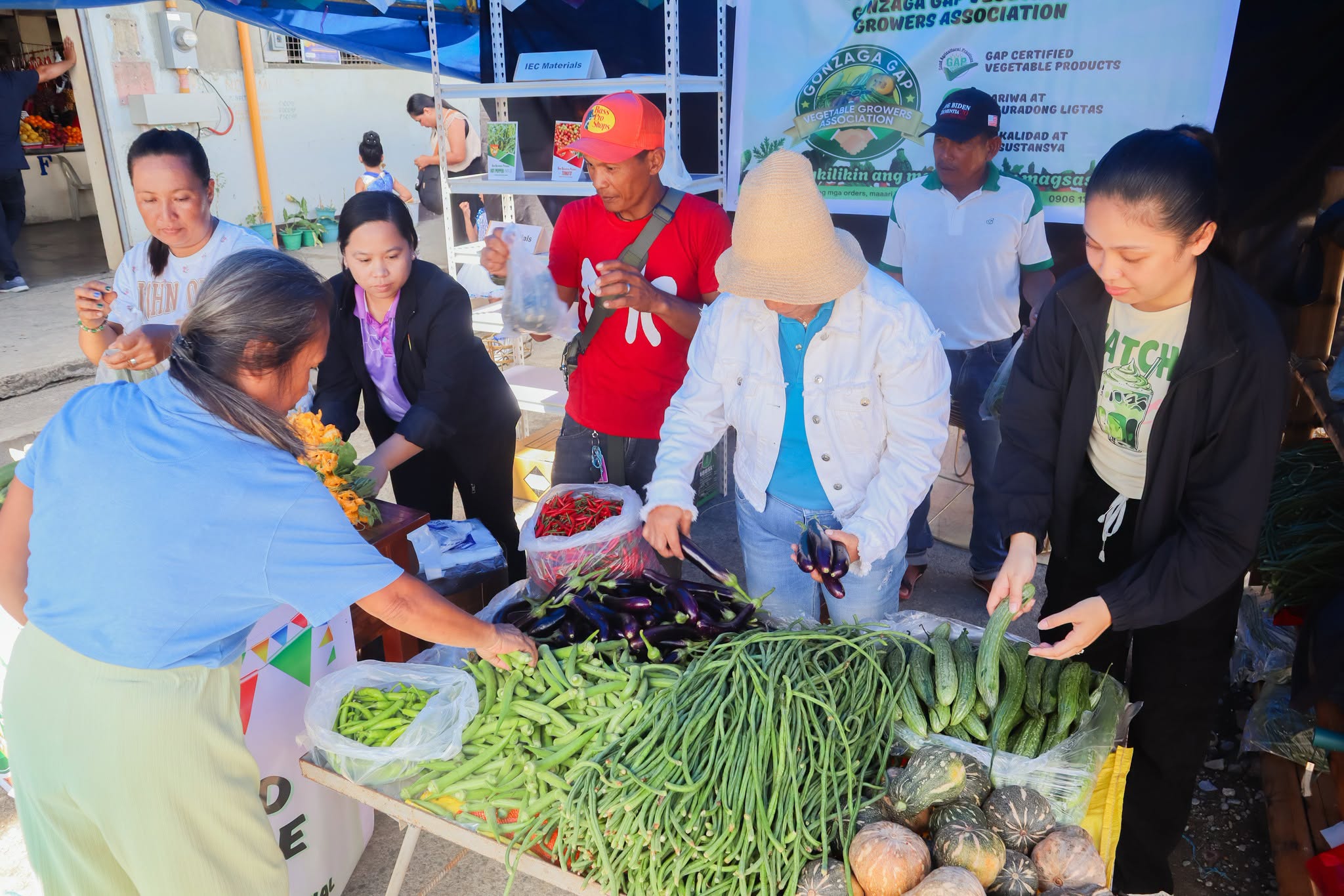 FROM FARM TO MARKET: GONZAGA GROWERS POST ₱44,105 SALES USING GAP-BASED VEGETABLE PRODUCTS photo 10
